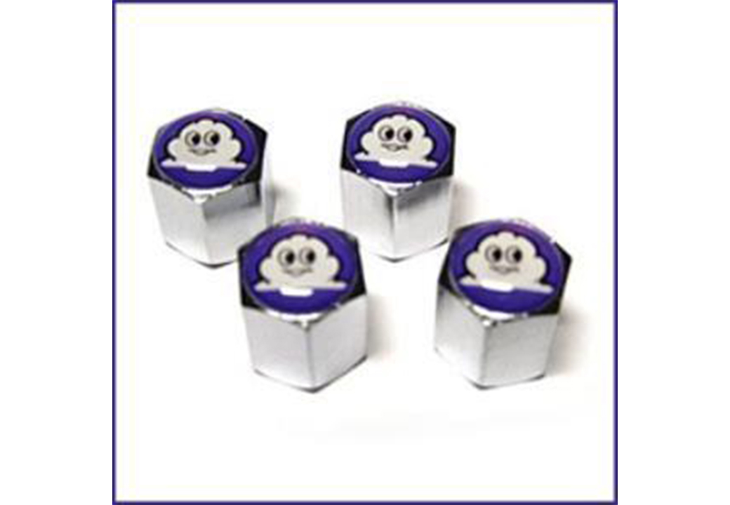 Sibop Kapağı Metal Michelin Logolu Ss-Avc-06